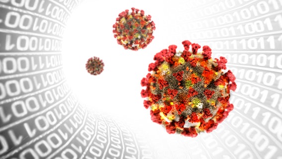 Coronavirus – Was kommt nach der Sommerwelle?