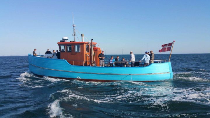 Fischsterben: Tourismusbetriebe in Vorpommern in Sorge