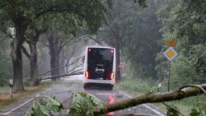 Unwetter in MV: Blitzeinschläge, umgestürzte Bäume und eine Windhose