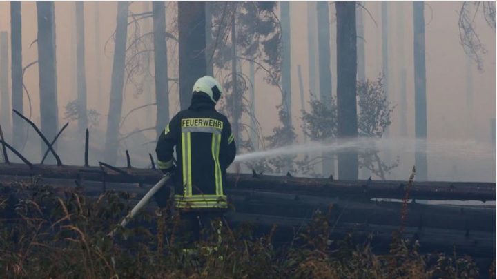 Waldbrand am Brocken: 37 Hektar betroffen