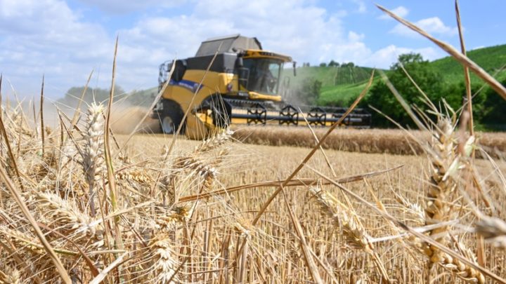 Verlängerung abgelehnt – Kreml stoppt Getreideabkommen