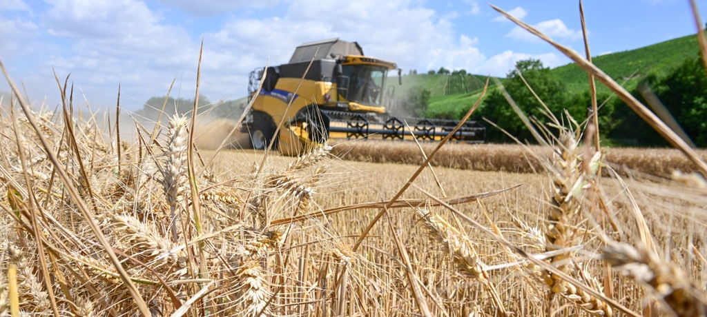 Verlängerung abgelehnt – Kreml stoppt Getreideabkommen