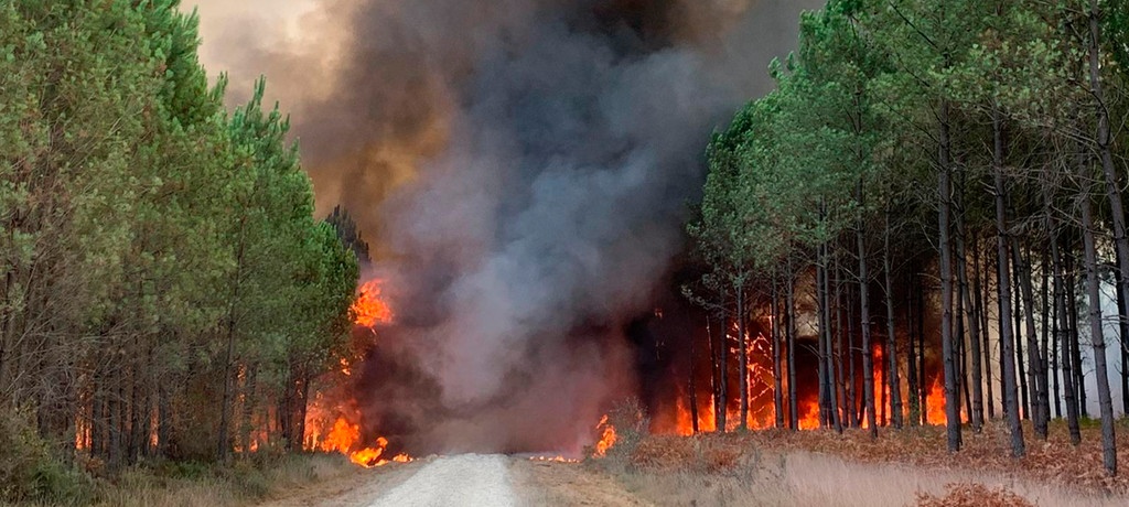 Frankreich Waldbrand bei Bordeaux wieder aufgeflammt