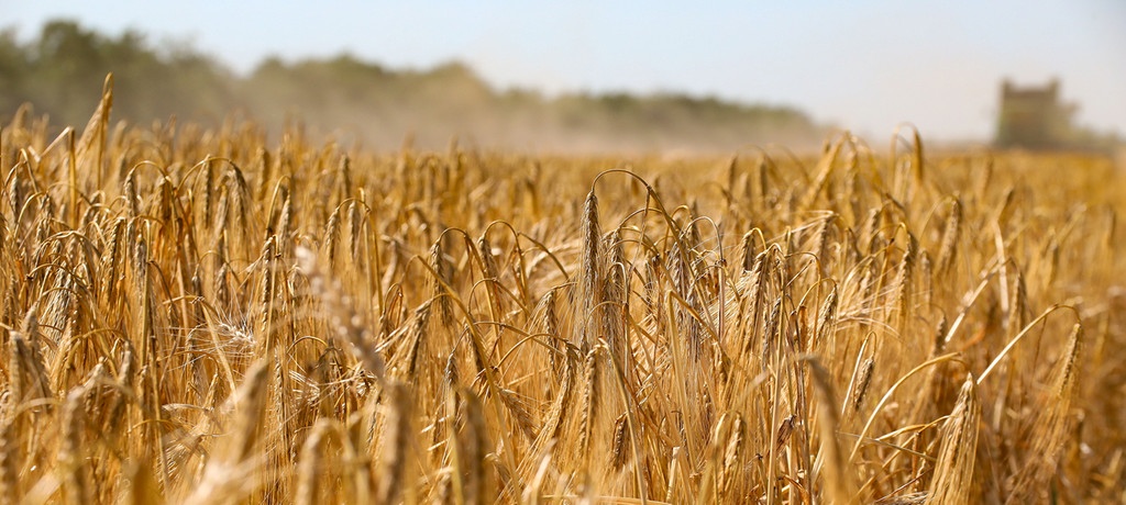 Krieg Tag 274 Sa 26.11.2022 ++ Kiew stellt Getreide-Hilfsprogramm vor ++