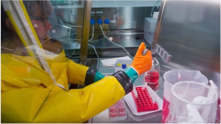 Greifswalder Experten beunruhigt Vogelgrippe-Ausbruch auf Nerzfarm