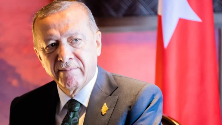 Erdogan ruft Notstand in zehn Provinzen aus
