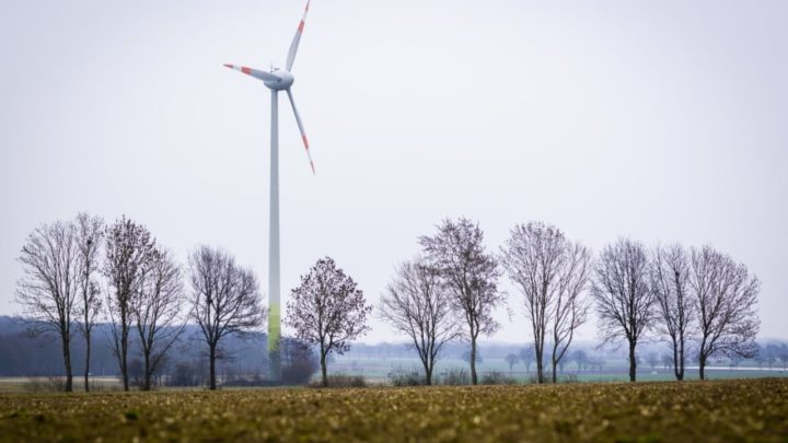 Klimapolitik: Deutschland fordert Erneuerbaren-Ziel für 2030