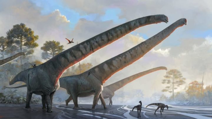 Forscher entdecken Dinosaurierart mit bislang längstem Hals