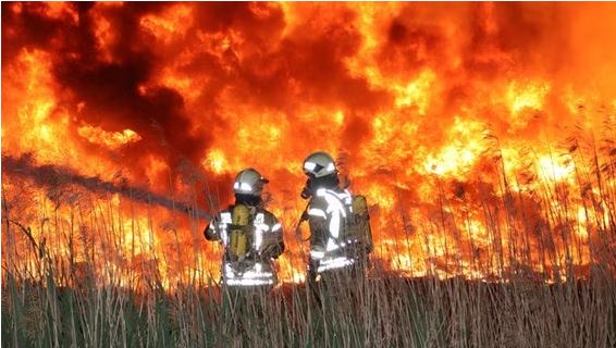 Mehrere Brände halten Feuerwehren in MV in Atem