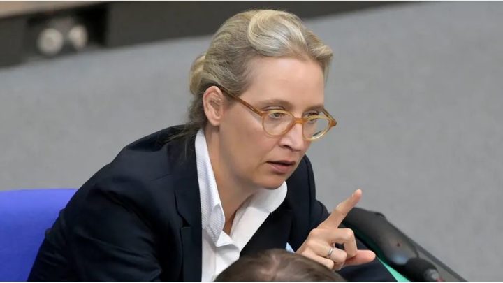 AfD-Fraktionsvorsitzende Weidel Frau der Widersprüche