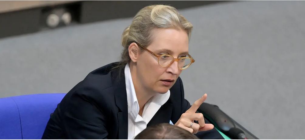 AfD-Fraktionsvorsitzende Weidel Frau der Widersprüche